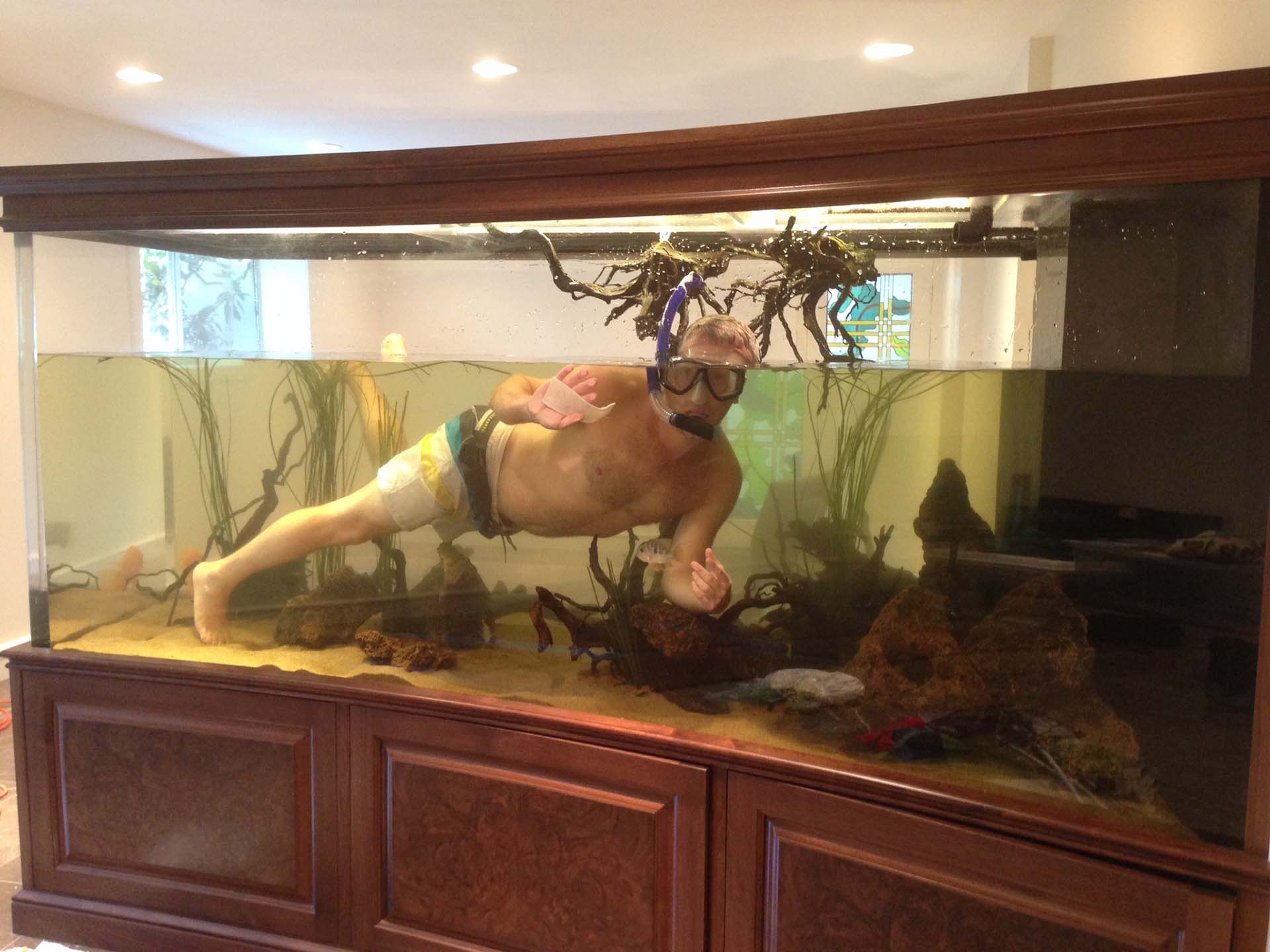 Large Custom Aquarium Installation Coast Aquariums