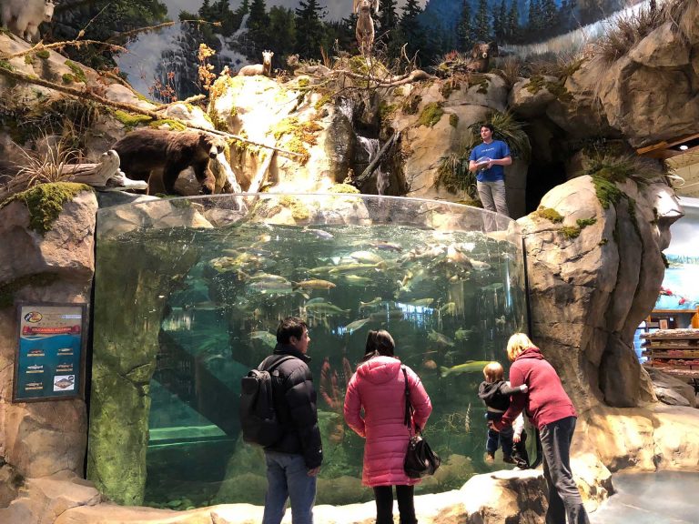 Bass Pro Shops Coast Aquariums